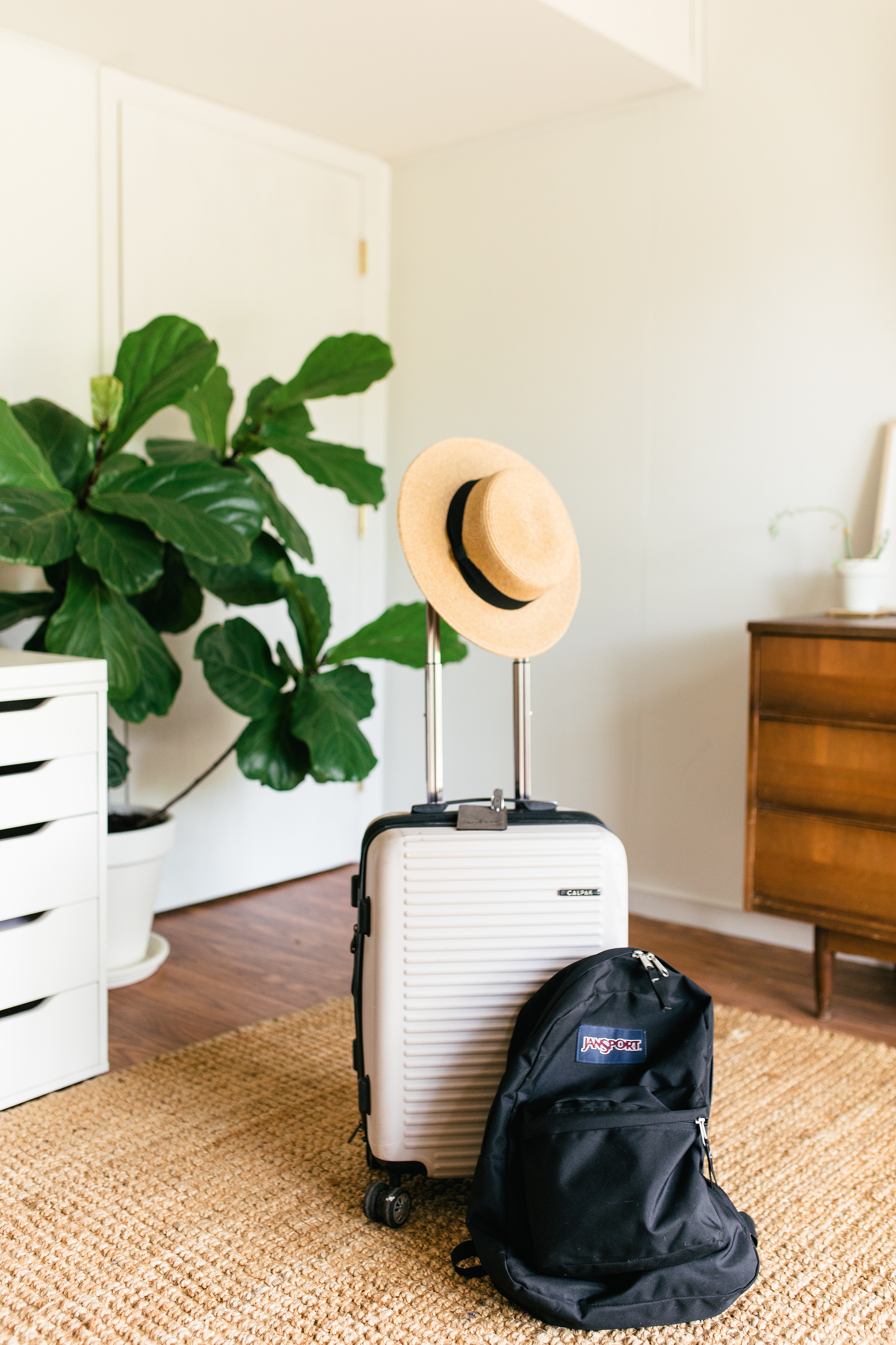 suitcase and backpack in room with plant in the background