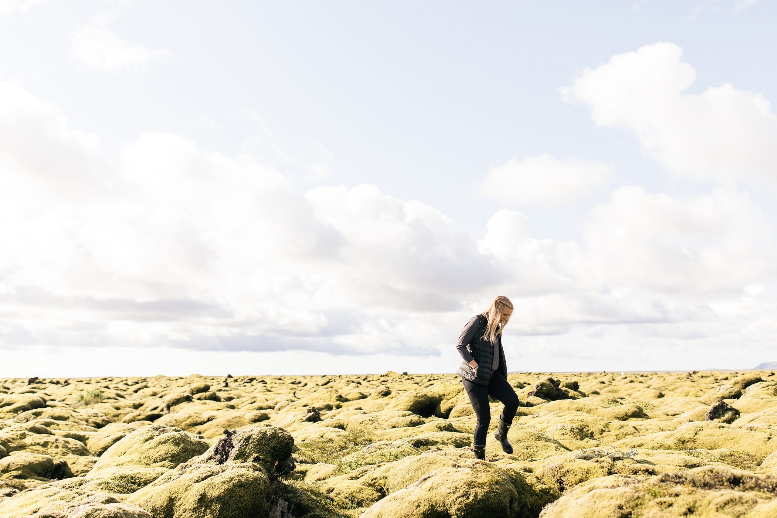 Moss fields in Iceland