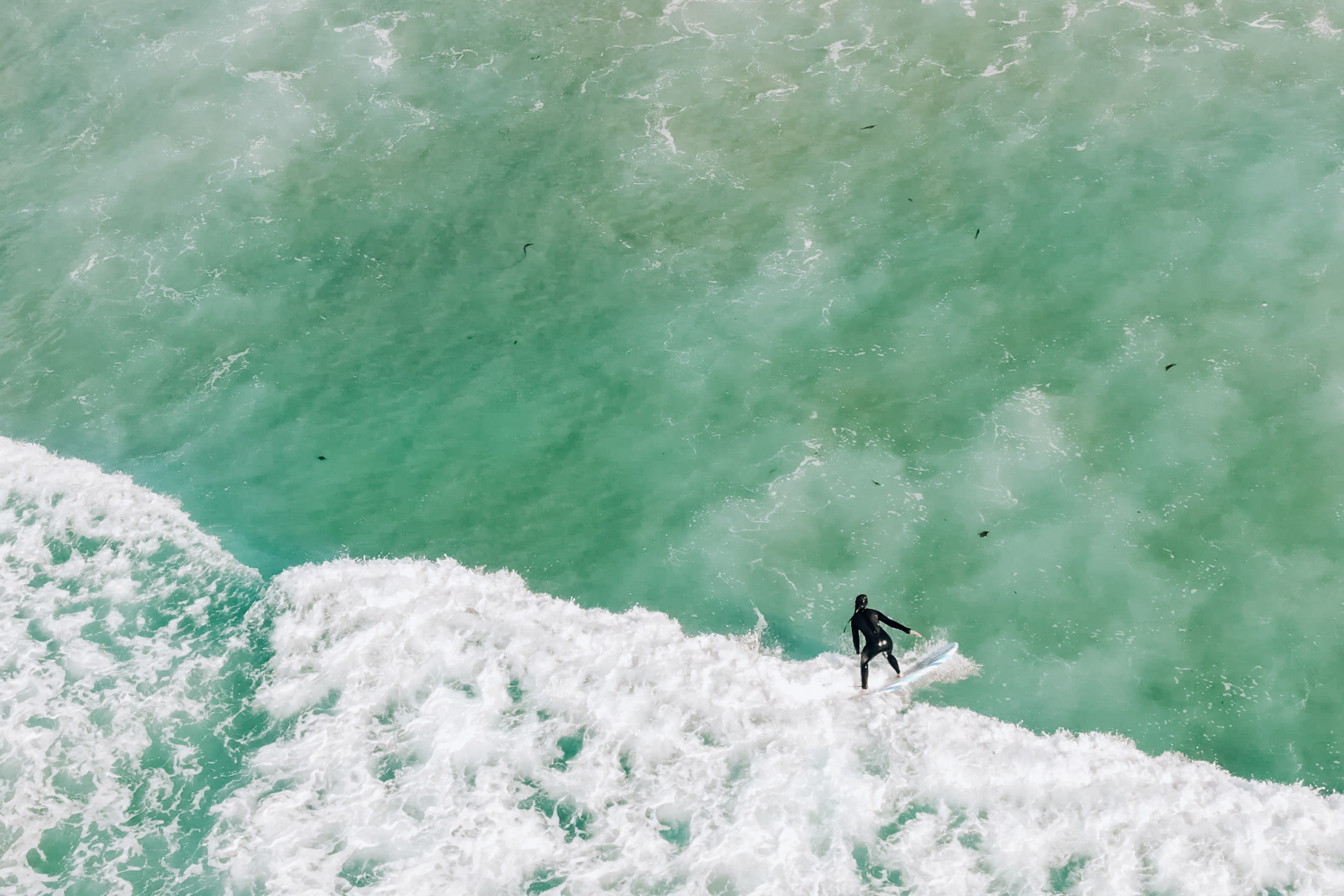 Surfing Pacific Beach in San Diego